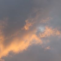 Annie Pierce Photo 13