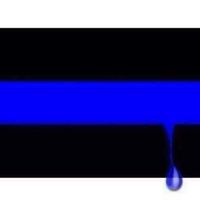 Pamela Collins Photo 40