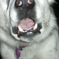 Sherry Duval Photo 5