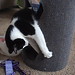 Lillian Bunch Photo 11