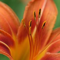 Catherine Toth Photo 28