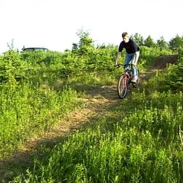 Scott Roach Photo 30