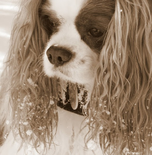 Kathy Hatcher Photo 5
