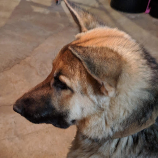 Chris Recker Photo 30