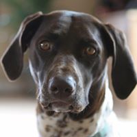 Suzanne Merrick Photo 6