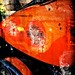 Rhonda Davidson Photo 6
