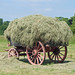 Debbie Hays Photo 2