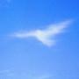 Ann Schmitt Photo 38