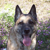 Sheryl Crowder Photo 6