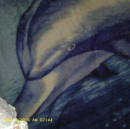 Kimberly Schafer Photo 25