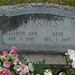 Elizabeth Starnes Photo 24