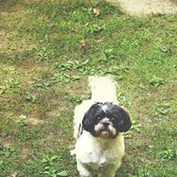 Shirley Shepherd Photo 13