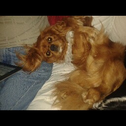 Jackie Harvey Photo 39