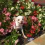 Betty Rasmussen Photo 9