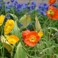 Paula Mccombs Photo 6