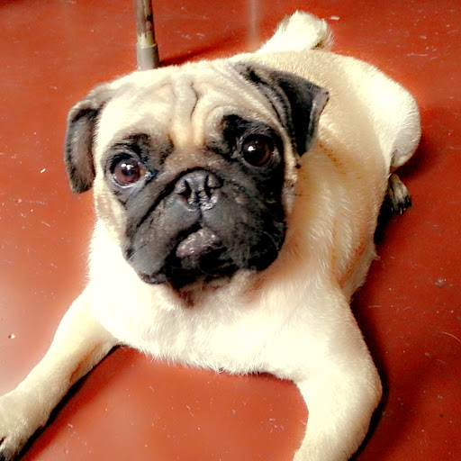 Erick Sevilla Photo 8