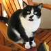 Dora Downing Photo 8