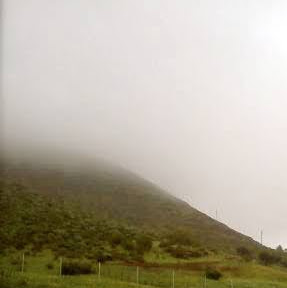 Rebecca Gleason Photo 7