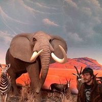 James Benson Photo 19