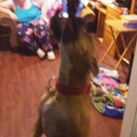 Paul Mannino Photo 6