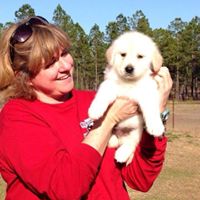 Joy Stover Photo 18