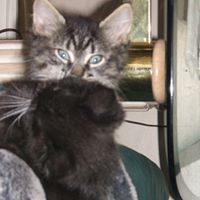 Suzanne Archer Photo 13