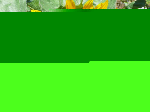 Denise Robbins Photo 22