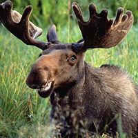 Patrick Strader Photo 15