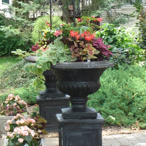 Julie Zielinski Photo 8