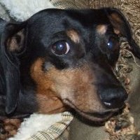 Annie Abbott Photo 15