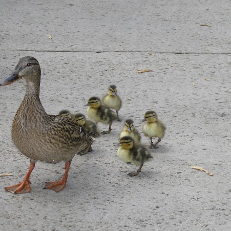 Reagan Johnson Photo 39 Reagan Johnson Photo 39