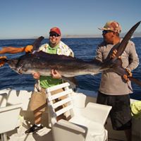 David Gass Photo 26 David Gass Photo 26