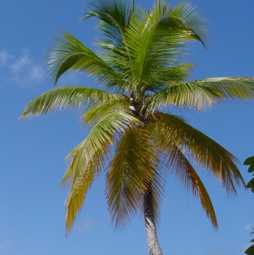 Richard Crouch Photo 38 Richard Crouch Photo 38