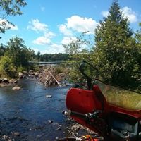 Steve Mcgrath Photo 31