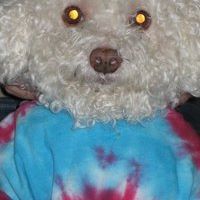 Mandy Reeder Photo 13