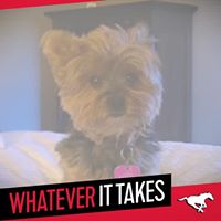 Sherry Ewert Photo 3