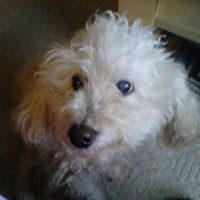 Deborah Tompkins Photo 18