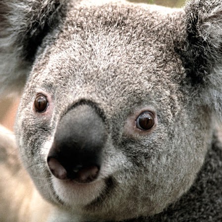 Jerry Haley Photo 37