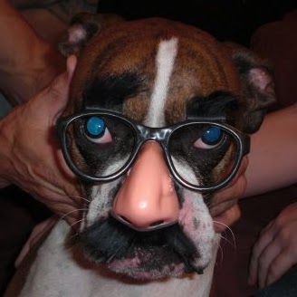 Kate Bishop Photo 38