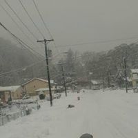 Robert Stanley Photo 23