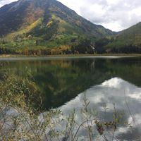 Christine Spalding Photo 15