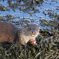 Billy Sinclair Photo 14 Billy Sinclair Photo 14