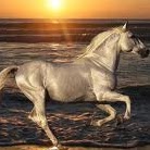 Nicole Roberson Photo 36