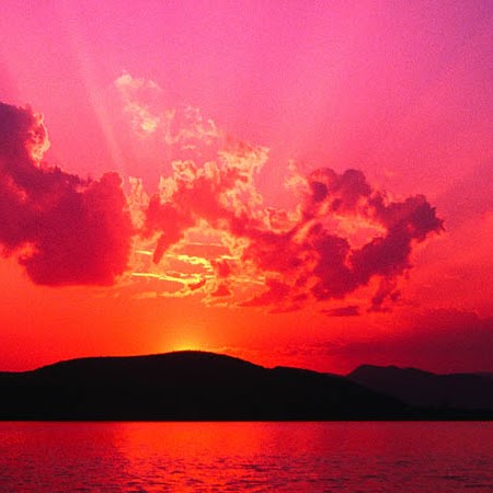 Anne Hutcheson Photo 2