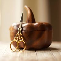 Rachelle Shepherd Photo 8