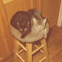 Barbara Kocher Photo 7