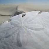 Jacquelyn Clark Photo 8