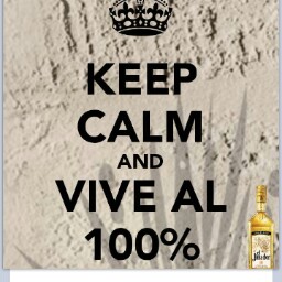 Ana Fernandez Photo 47