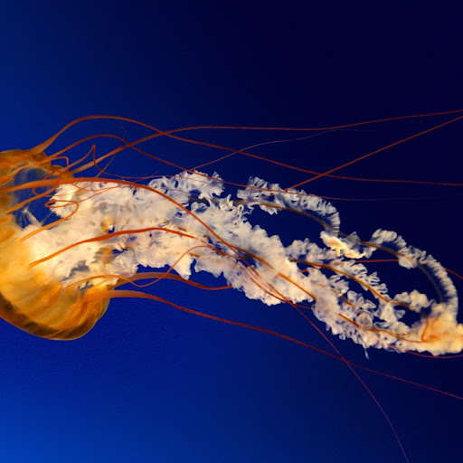 Marie Weathers Photo 20