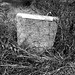 Burley Harris Photo 9